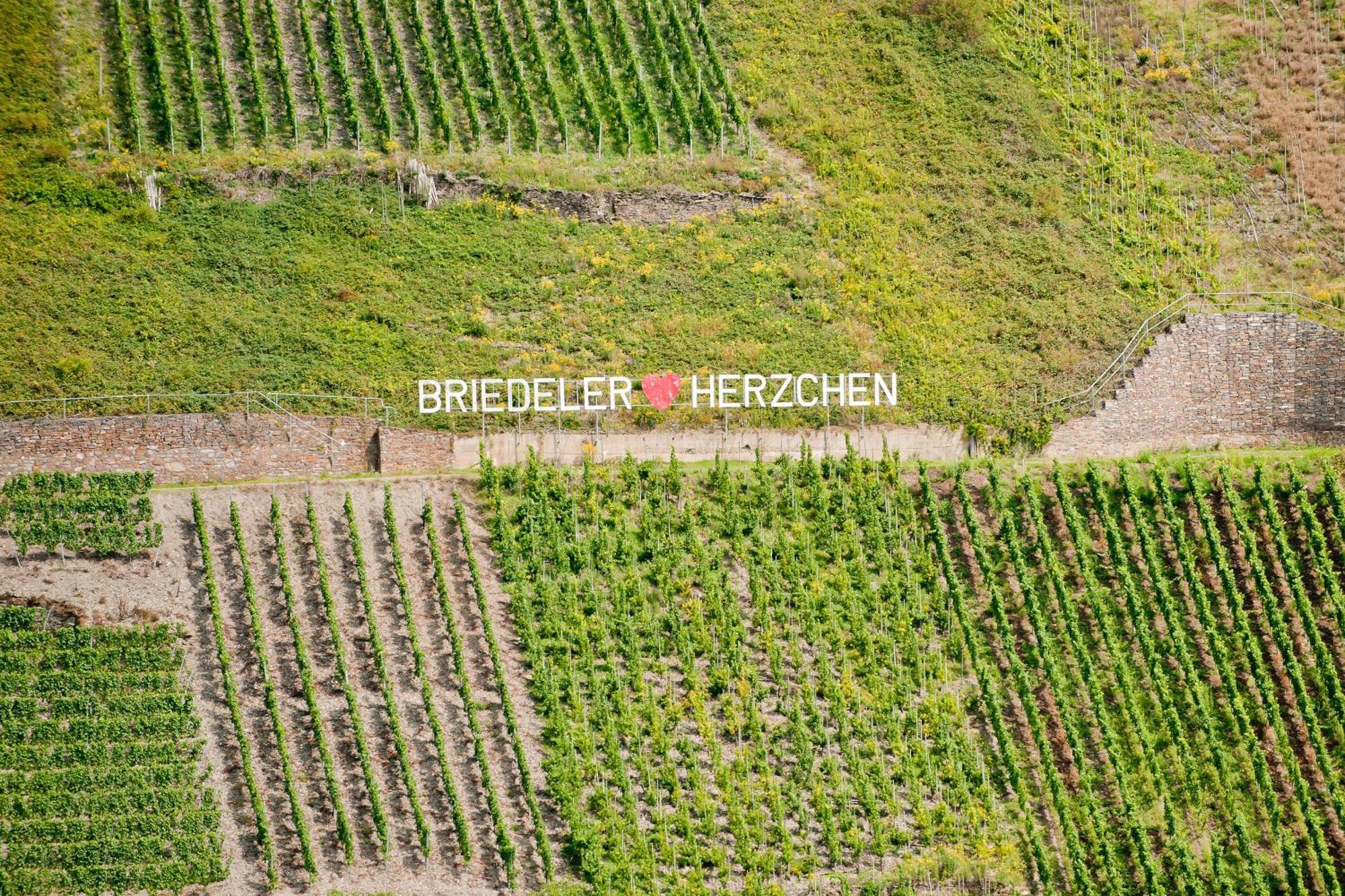 Wein- Und Sektgut Markus Hensler Hotel Briedel Exterior foto